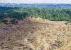 Investigasi Lapangan RAN: Pembukaan Lahan Terus Terjadi di Kawasan Ekosistem Leuser