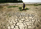 Kerugian Ekonomi Indonesia Capai Rp 544 Trilun Akibat Perubahan Iklim